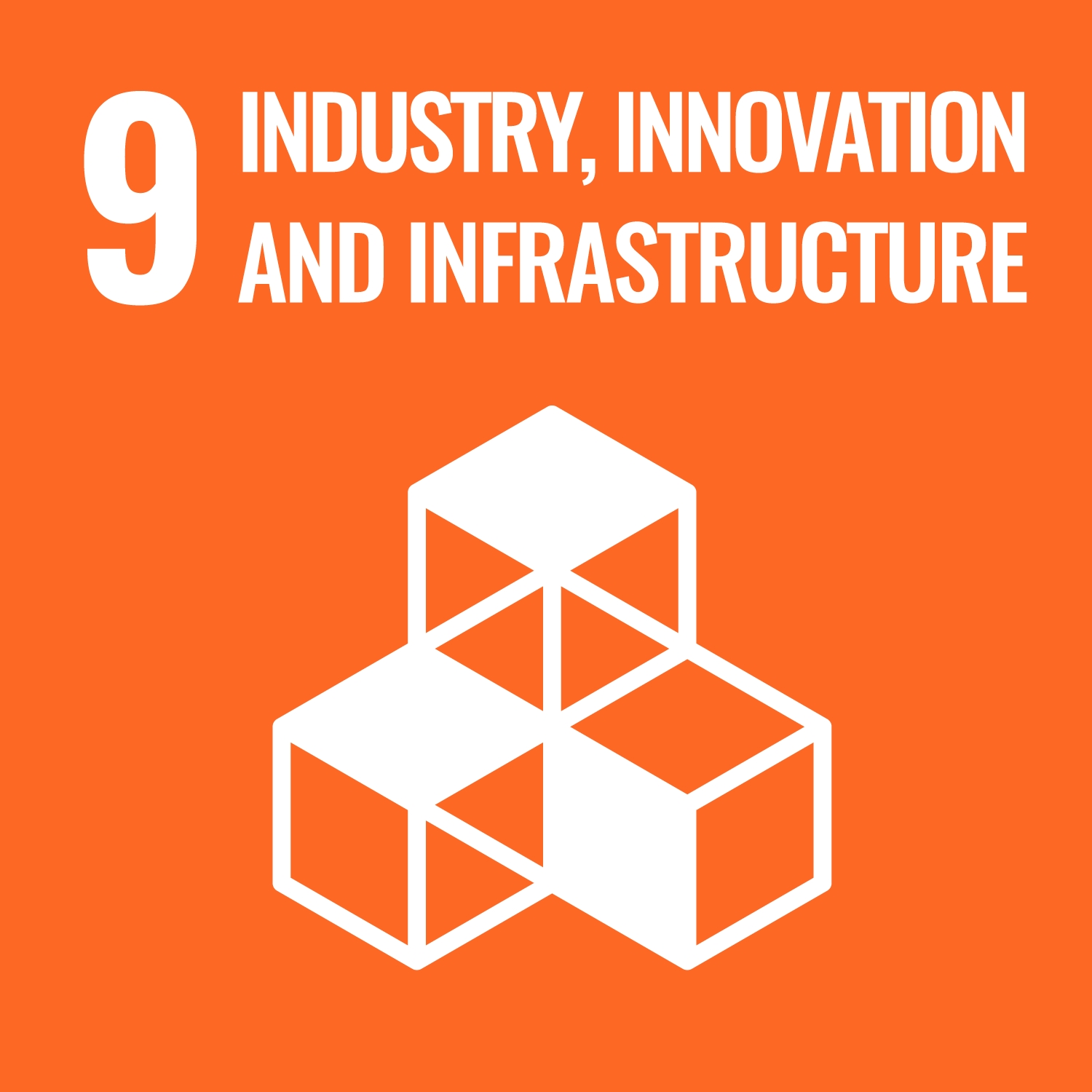 SDG 9 SDG 9