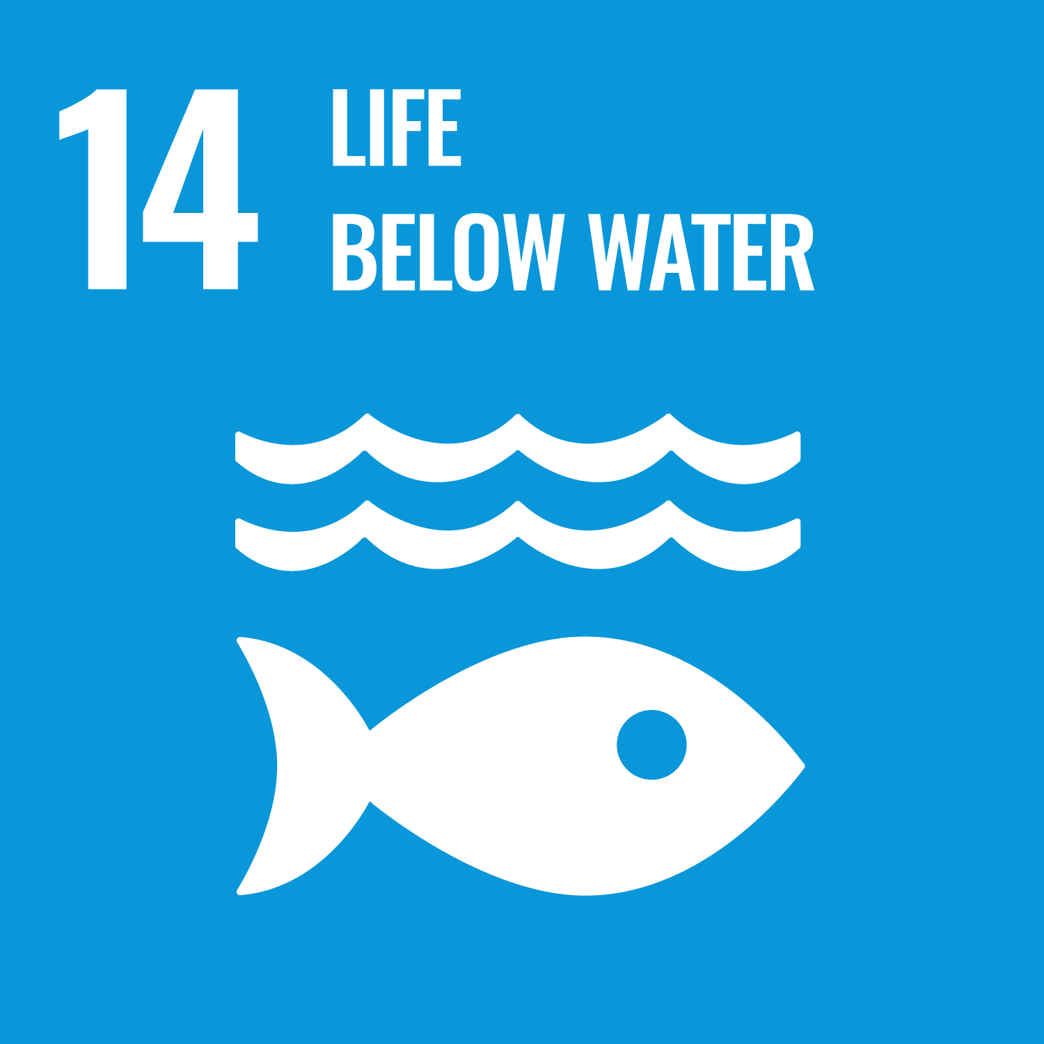 SDG 14 SDG 14