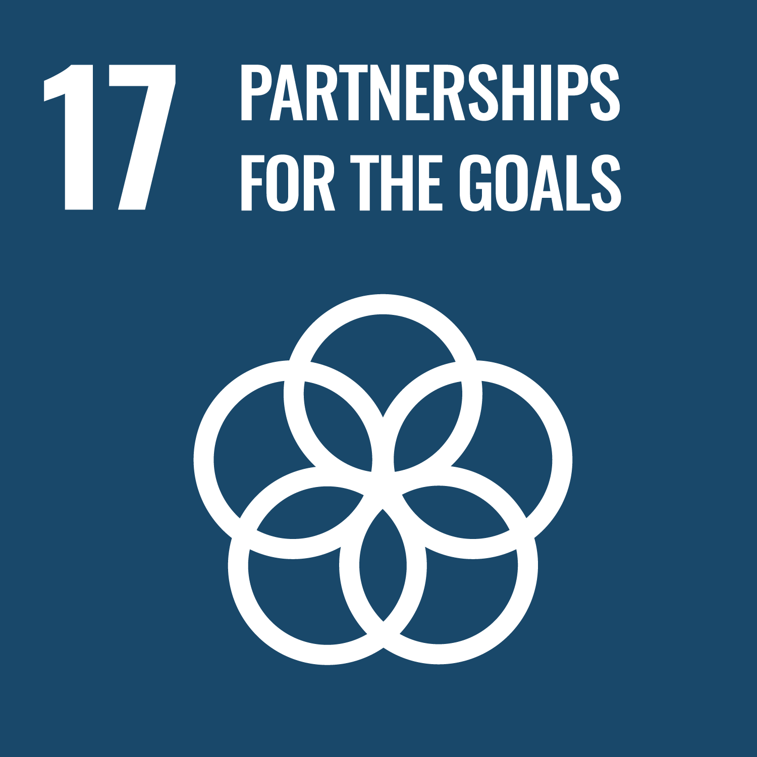 SDG 17 SDG 17