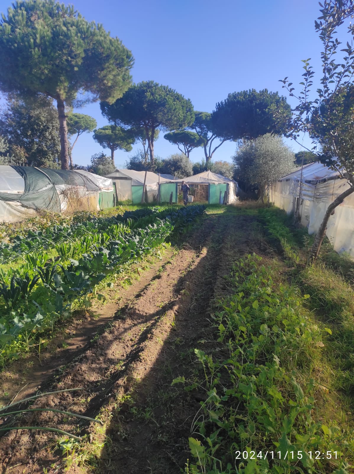 foto_AZIONE LAVORO