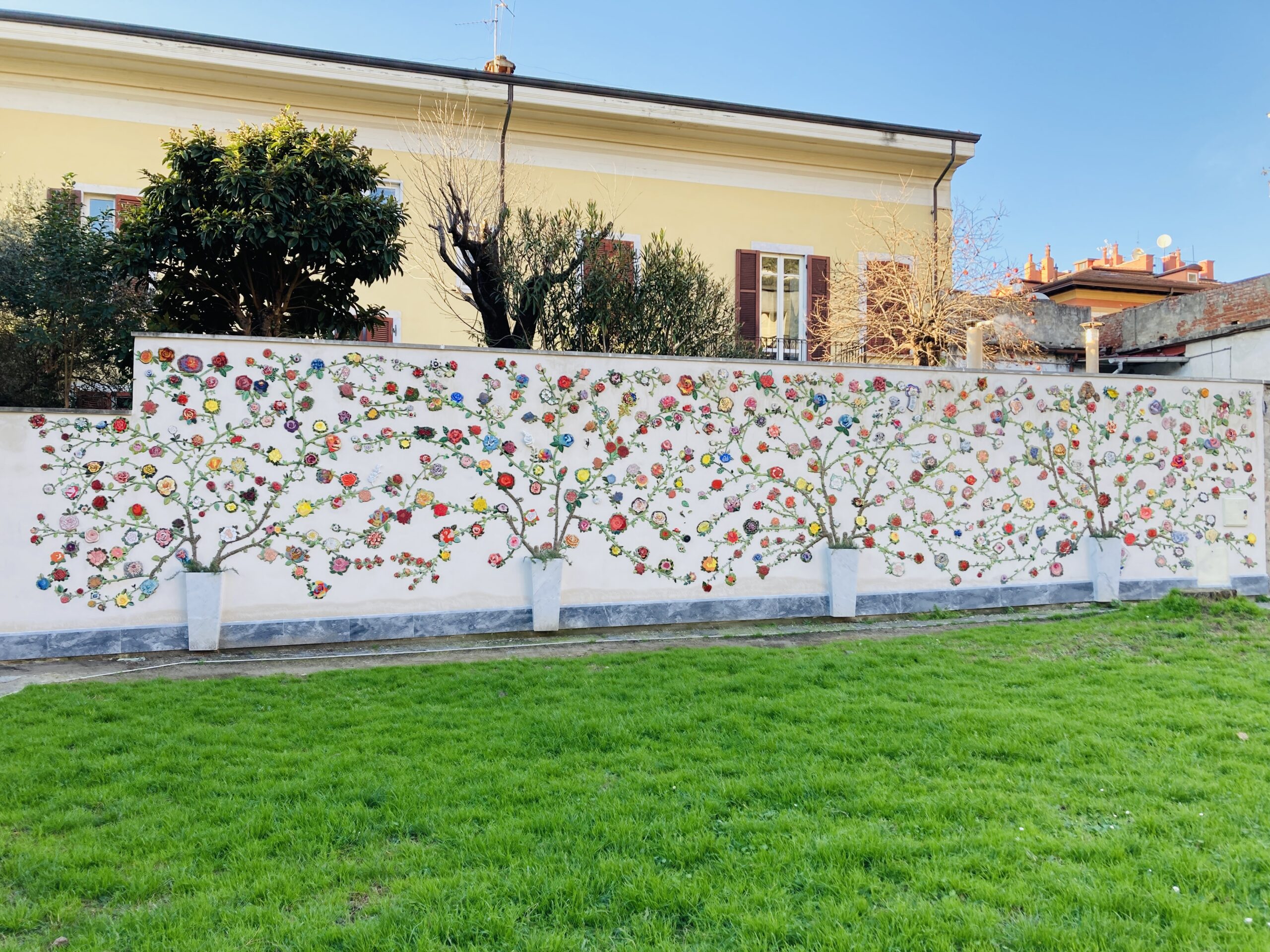 foto_Rose per Carrara Project